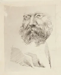 Direktor C.A. Zitting, Porträtstudie, Gesicht
