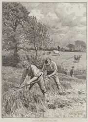 Landwirtschaftliche Szenen, Juni, Klee mähen