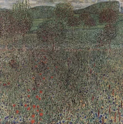 Blühendes Feld