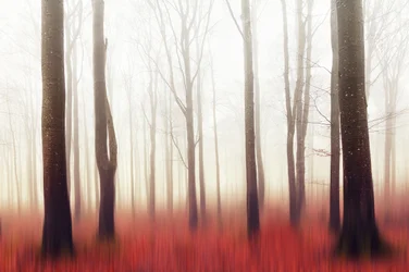Träumender Roter Wald