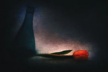 Stimmungsvolle Tulpe und Flasche