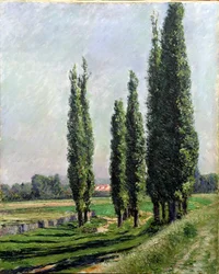 Pappeln am Flussufer bei Argenteuil