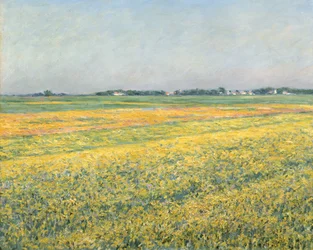 Die Ebene von Gennevilliers, Gelbe Felder; La plaine de Gennevilliers, champs jaunes, 1884