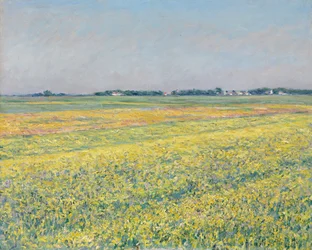 Die Ebene von Gennevilliers, gelbe Felder