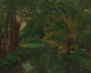 Ein Bach in einer Lichtung