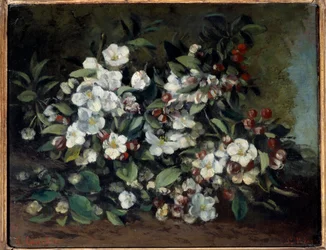 Kirschblüten oder blühende Apfelzweige