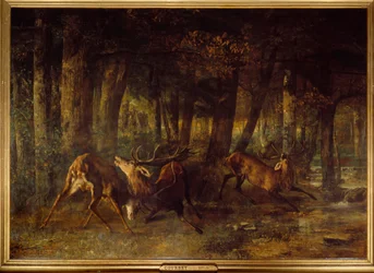 Frühlingsbrunst, Hirschkampf
