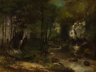 Der Bach Le Ruisseau du Puits-Noir, Tal der Loue