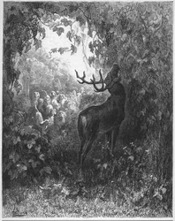 Der Hirsch und die Rebe - aus "Fabeln" von Jean de La Fontaine
