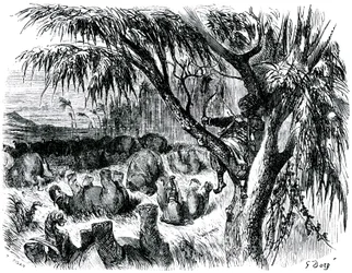 Sindbad der Seefahrer - Märchen aus Tausendundeiner Nacht - Illustration von Gustave Doré - Maxwell-Ausgabe 1865 - Siebte Reise: Sindbad schießt von einem Baum aus mit seinem Bogen auf Elefanten