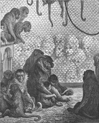 Zoologische Gärten - Das Affenhaus