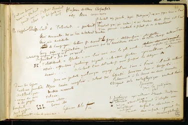 Folio 41 des Arbeitsbuchs Nr. 19 Manuskriptseite von Gustave Flauberts Entwürfen. Pläne für Bouvard und Pécuchet. BHVP.
