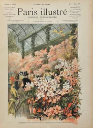Ausstellung von Azaleen in den Gewächshäusern der Stadt Paris (Serres d