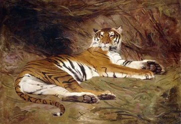 Ein liegender Tiger