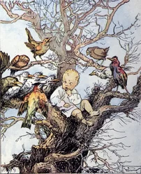 Illustration für „La storia di Peter Pan“, Märchen von James Matthew Barrie