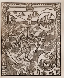 Hirtenkalender - Die Arbeiten der Monate - Juli - Holzschnitt aus dem Buch von 1496, gedruckt von Guy Marchant (Guido Mercator) in Troyes - Heu, das Mähen des Heus - Holzstich in „Le grand Calendrier et compost des bergers“