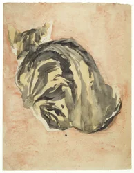 Sitzende Schildpattkatze