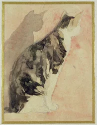 Studie einer Katze