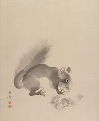 Eichhörnchen isst Kastanien