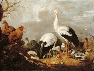 Störche, Stockenten, Hühner, ein Reiher, ein Frosch und andere Vögel in einer Flusslandschaft