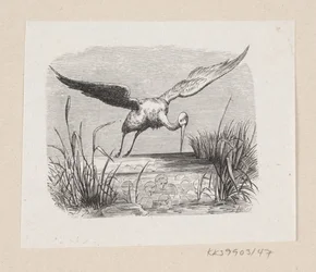 Illustration zu "Die Störche" in H.C. Andersen, "Märchen und Geschichten", Band 1