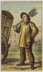 Müllmann