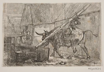 Nissen reitet auf dem Ochsen
