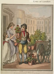 Alles wächst, wächst, hier sind Blumen für Ihre Gärten, Platte VI von Cries of London, 1799