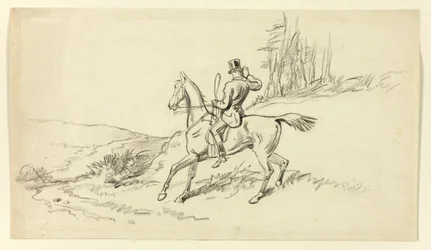 Reiter zügelt Pferd