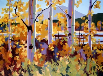 Teton Aspen, ca. 2024