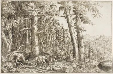 Der barmherzige Samariter