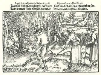 Die Schnitter