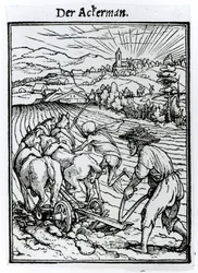 Der Tod und der Pflüger, aus 