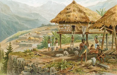 Igorrote-Farm in Luzon, Philippinen, aus 
