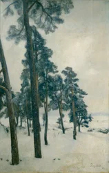 Vom Bogstad Wasser