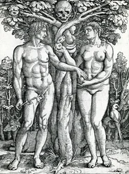 Der Sündenfall von Adam und Eva, ca. 1525-27