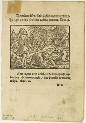 Der Regen von Manna aus Biblische Historien Künstlich fürgemalt, Platte fünf aus Holzschnitten aus Büchern des XVI Jahrhunderts