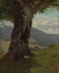 Alter Baumstamm mit Blick ins Tal