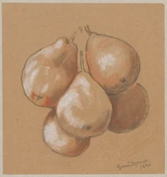 Birnen