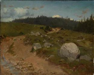 Steiniger Weg am Waldrand