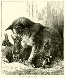 Eine außergewöhnliche Familie