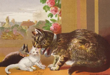 Puss und ihre Kätzchen (Farblithografie)