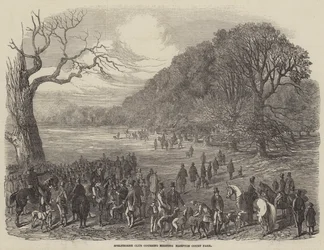 Spelthorne Club Coursing Meeting, Hampton Court Park