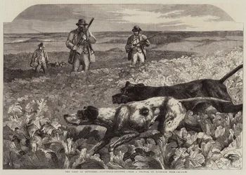 Der Erste September, Rebhuhnjagd (Gravur)