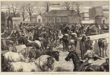 Die Lebensmittelversorgung von Paris, Pferdemarkt der Metzger, Boulevard d