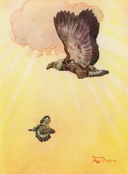 Die Eule und die Tochter des Adlers