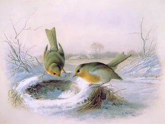 Nest vom letzten Jahr, 1886