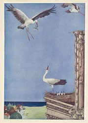 Die Störche