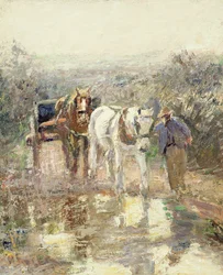 Pferde und Wagen