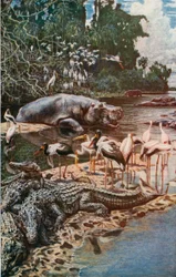 Der Fluss Gambia, wie von Kapitän Jobson beschrieben